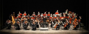 Orchestra Archè 2013       
